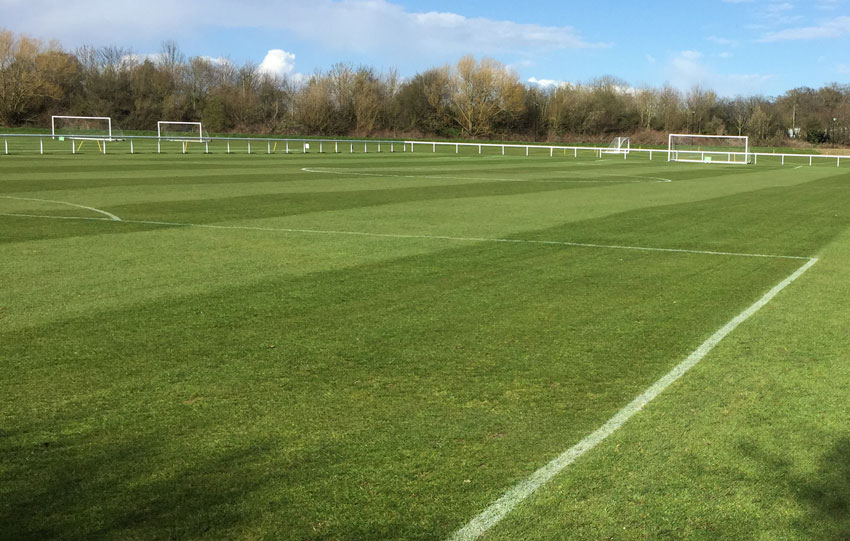 Sports' ground Sports Ground Maintenance